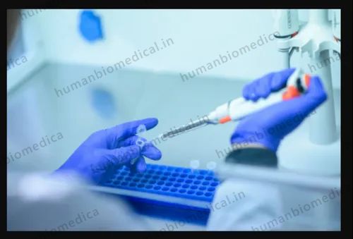 Covid Screening Package  Basic 2