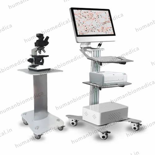 Computer Assisted Semen Analysis System