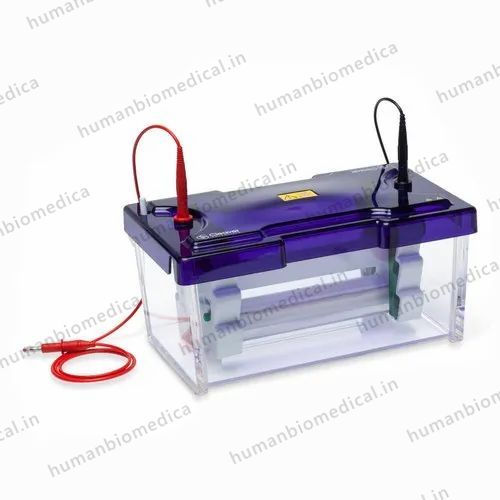 Maxi Broad Vertical Gel Electrophoresis Unit (SDS - PAGE Apparatus)