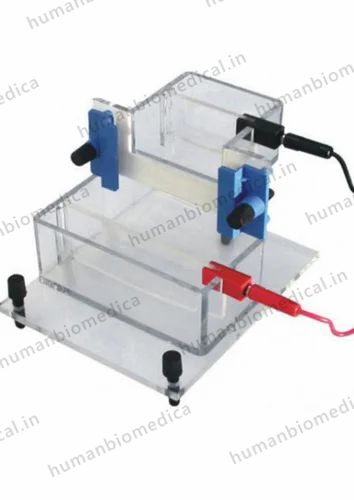 Benchtop Vertical Electrophoresis System SF00003290