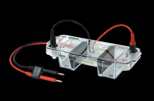 HORIZONTAL ELECTROPHORESIS SYSTEM 1704467