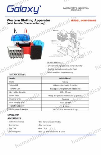 Western Blot Apparatus Make Galaxy