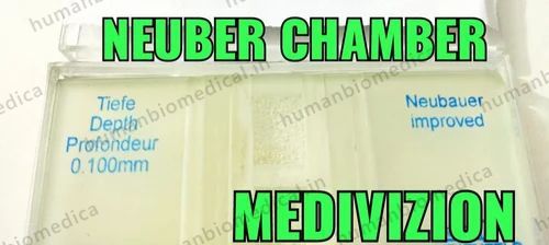 MEDIVIZION NEUBER CHAMBER