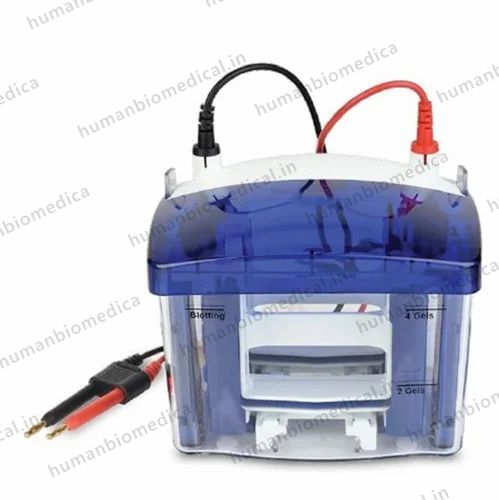 Vertical Electrophoresis