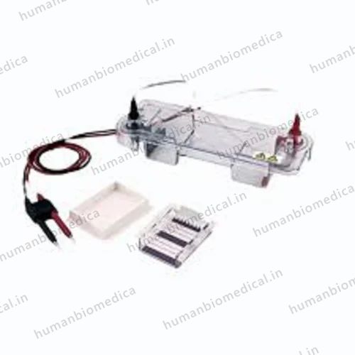 2D Gel Horizontal Electrophoresis Unit
