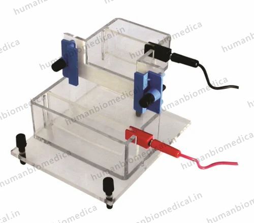Vertical Electrophoresis Apparatus