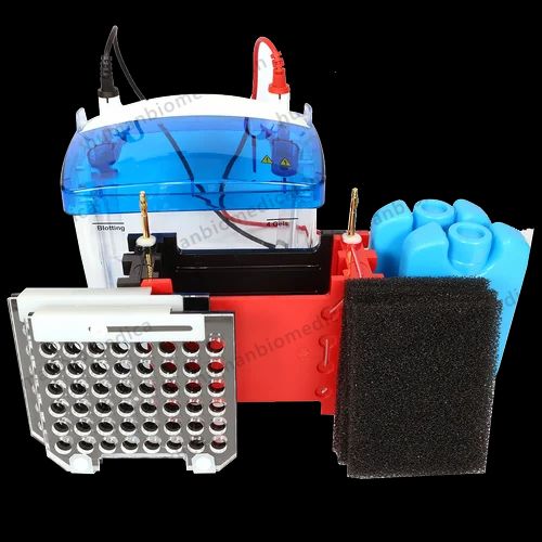 Gel Western Blot Apparatus Make Galaxy