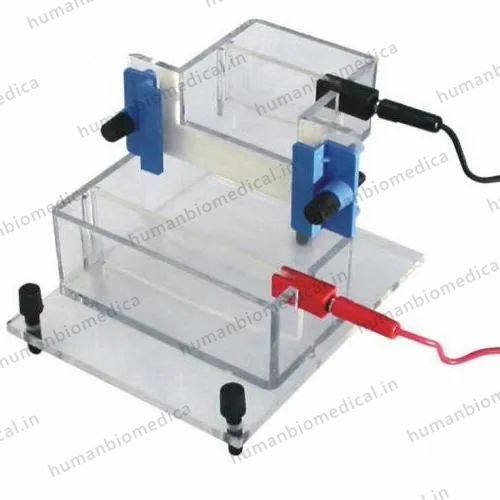Gel Mini Vertical Electrophoresis