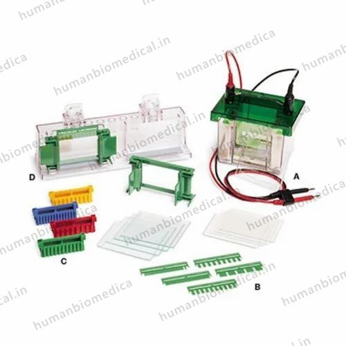 2D Electrophoresis Systems