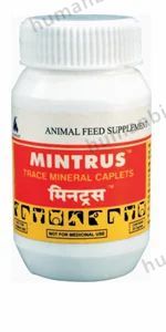 Mintrus