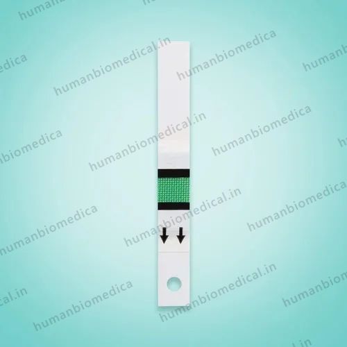 Accu Chek Blood  Test 50 Strips