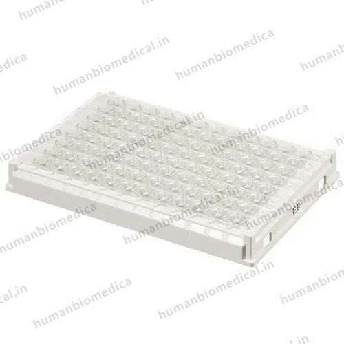 Elisa Flat Bottom,Without Lid Nest Eliza Plate 96well, For Laboratory