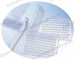 96 Well Microplates
