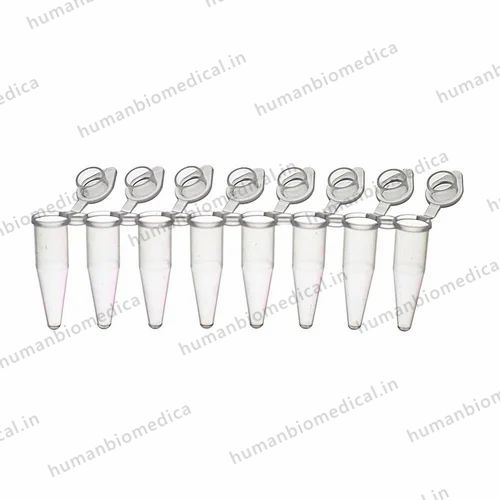 Strip 0.2 ml