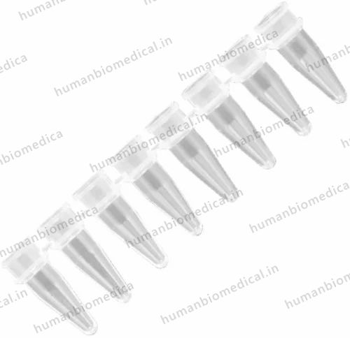 Axygen 0.2Ml Polypropylene Tubes (-0208-c)-axygen, Strip of 8