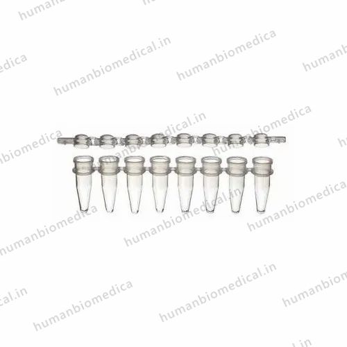 8 Strip Tubes