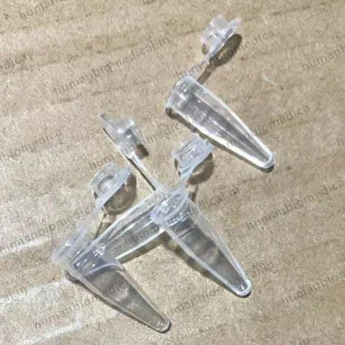 Domed  , 0.2 mL, 48 wells