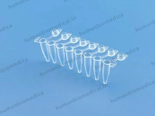 Polypropylene  8  Strip With Attached Caps 0.2ml