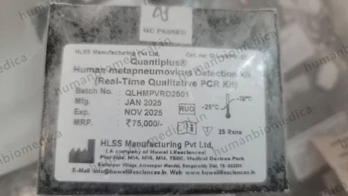 Hmpv rt , 96 wells