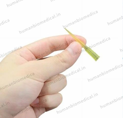 50 Ul Plastic Micropipette Tips