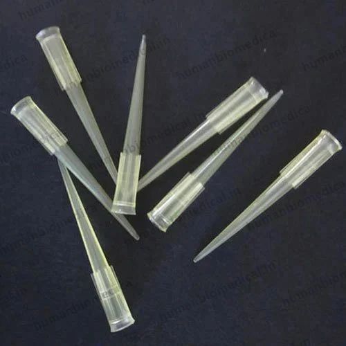 Micropipette Tip Small, Capacity: 200 ul