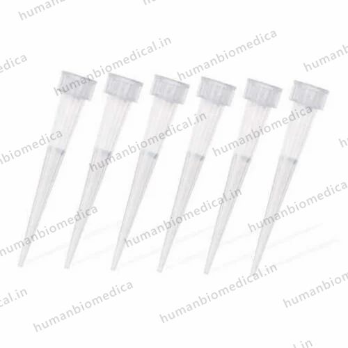 Plastic Pipette Tip 10ul graduated, For Chemical Laboratory