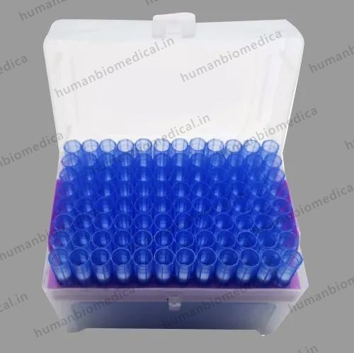 PP Filter Tips 1000ul with Rack