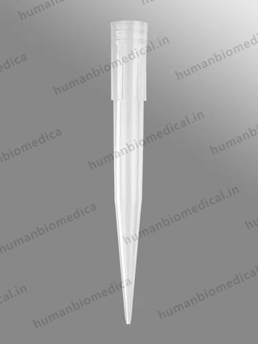 Axygen 1000 uL Pipet Tips, Beveled, Clear, Nonsterile, (T-1000-C)