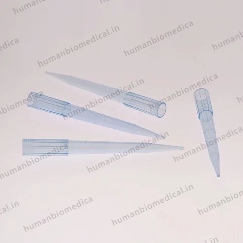 Micro Pipette Tip Box