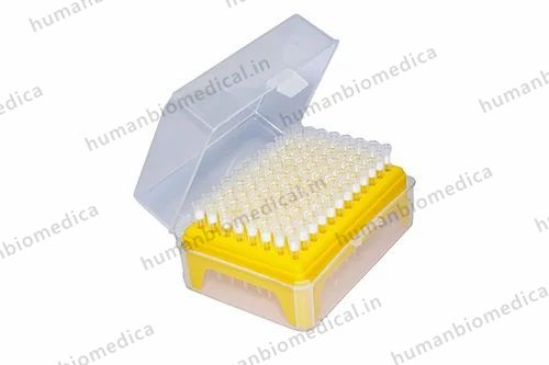 10ul Filter Tips with Rack