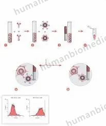 Tumor Kit Series