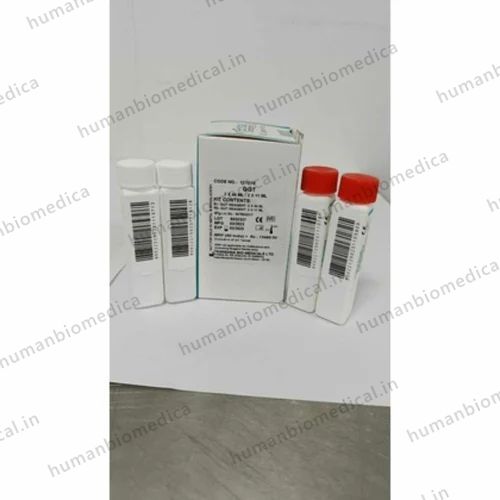 Gamma GT Diagnostic Test