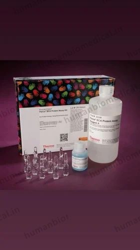 Lowry Protein Assay  1000 rxn, 100 Tests