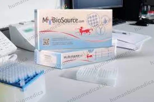 Mybiosource