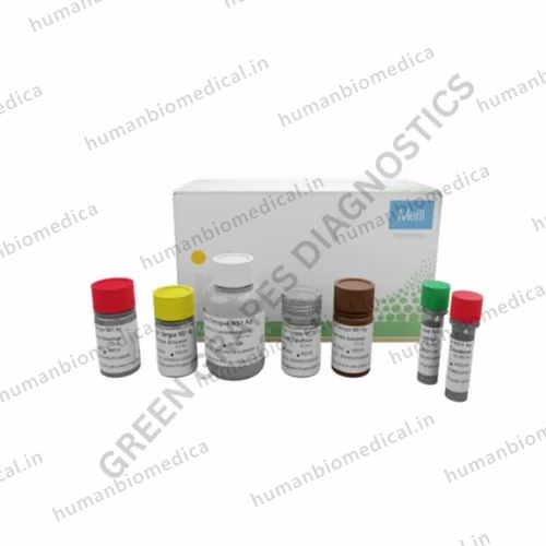 MERILISA Dengue IgM  Kit