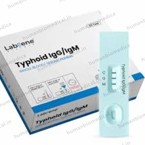 Typhoid IgG/IgM Rapid Test