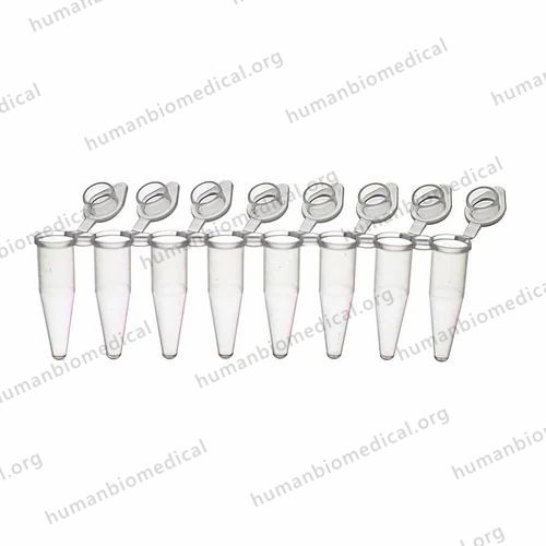 2 ml   Supplier Sadguru Healthcare, Jaipur, Strip of 8