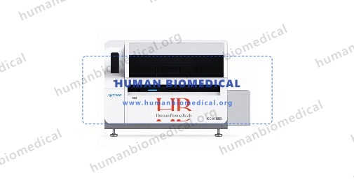 IMAGINE 800 Immunoassay Analyzer