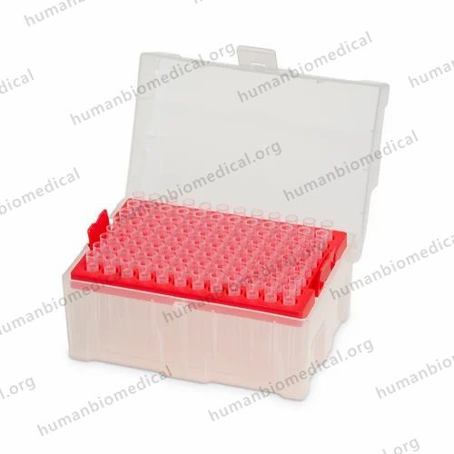 20ul Universal Grad tip, Sterile, Filter,