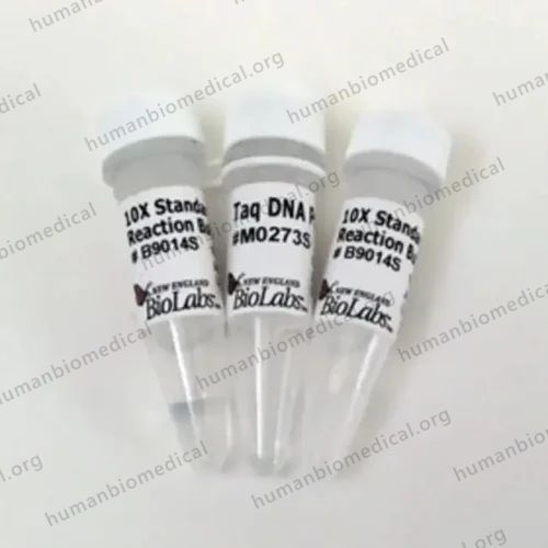 Taq Dna Polymerase (With 10X Mg+2 Buffer)