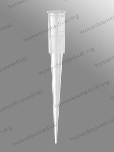 Axygen 200 uL Universal Fit Pipet Tip, Beveled, Clear, Nonsterile,(T-200-C)