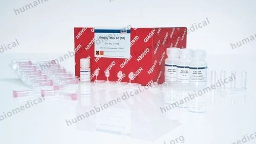 RNA Isolation  Qiagen