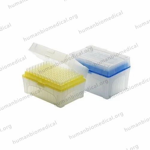 Plastic Filter Pipette Tips, For Chemical Laboratory