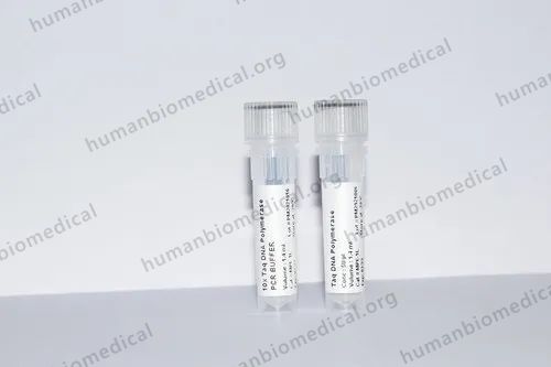 Liquid Taq DNA Polymerase, For Scientific Research, Packaging Size: 1 ml