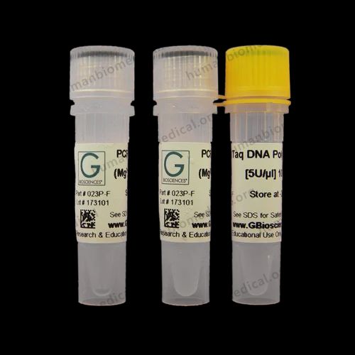 786-447-1000U - GenTaq Taq DNA Polymerase
