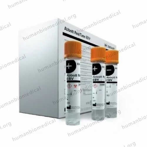 Real Time  Kit
