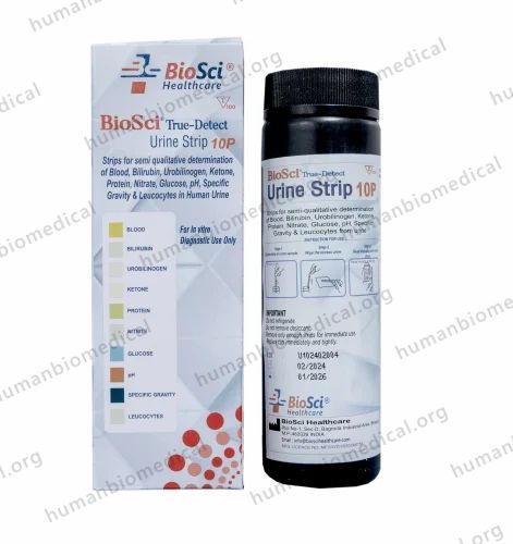Biosci 10P  Test Strip