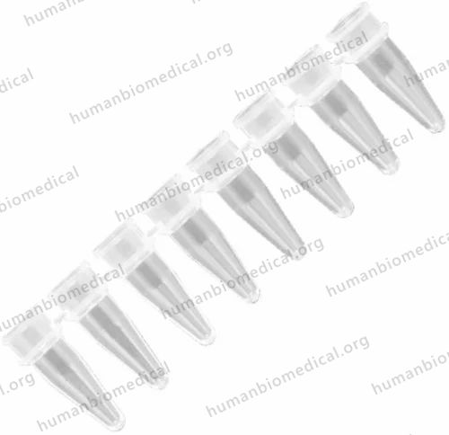 Axygen 0.2Ml Polypropylene  Tubes (-0208-c)-axygen, Strip of 8
