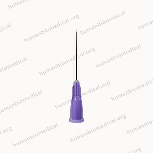 SS,Plastic BD 24GX1 Needles, For Clinic