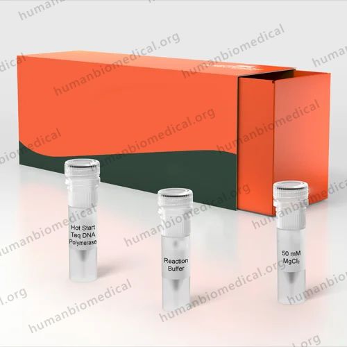 Hotstart Taq DNA Polymerase
